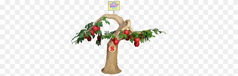 Promotions Money Tree Illustration, Plant, Food, Fruit, Produce Free Png