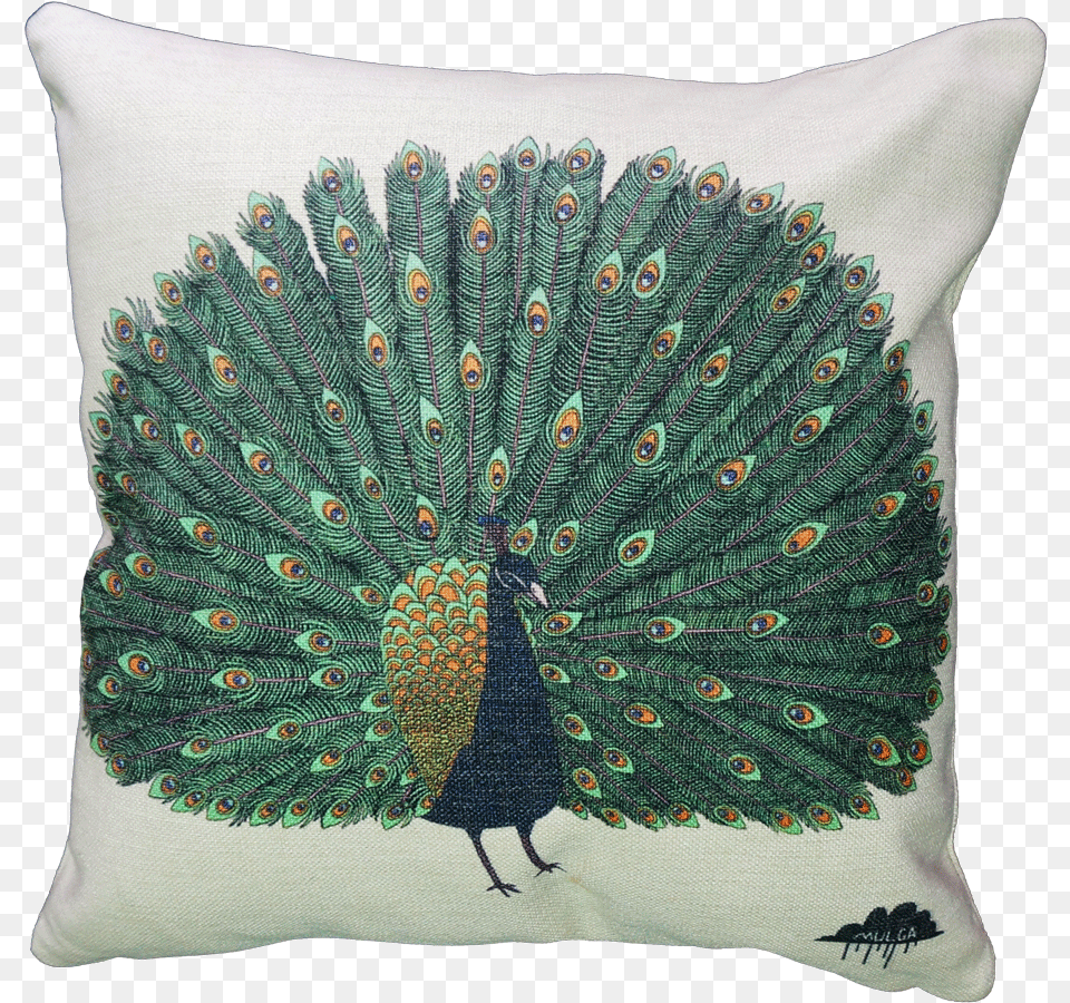 Pronger The Peacock Cushion Cover Cushion, Home Decor, Pillow, Animal, Person Free Png