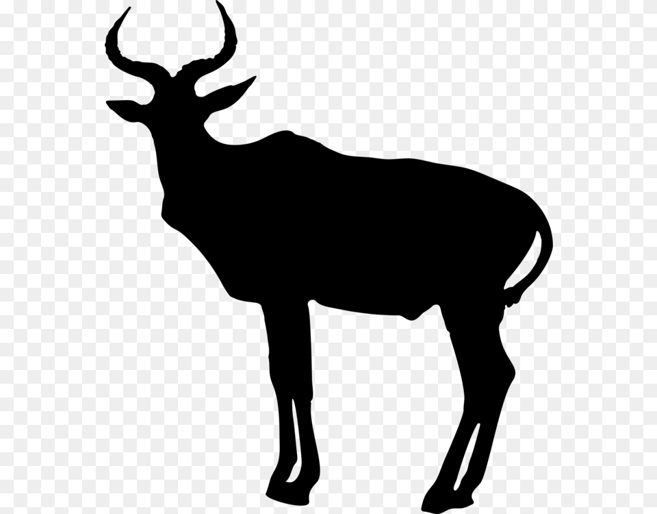 Pronghorn Antelope Animal Silhouettes Deer, Gray Free Transparent Png