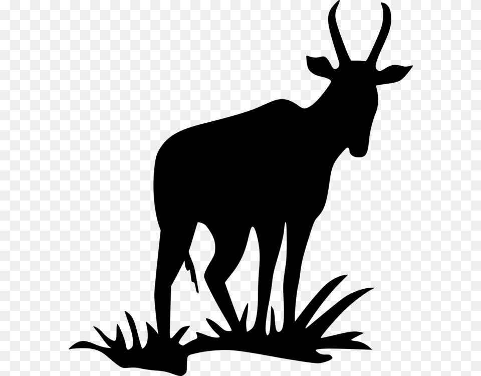 Pronghorn Antelope Deer Silhouette Bovid, Gray Free Png Download