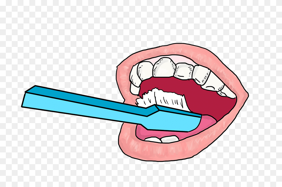 Proper Technique For Brushing Your Teeth, Body Part, Mouth, Person, Brush Free Transparent Png