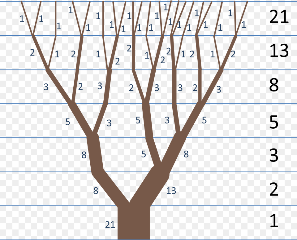 Properties Golden Ratio In Trees, Text, Blackboard Free Transparent Png