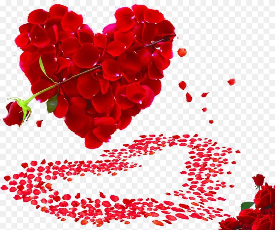 Propose Valentines Rose Day Clipart Transparent Heart Rose, Flower, Petal, Plant, Geranium Free Png