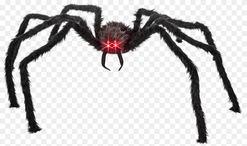 Props Giant With Lighted Red Eyes Case Giant Spider Red Eyes Free Png