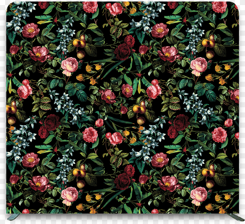 Protea, Art, Floral Design, Pattern, Graphics Free Transparent Png