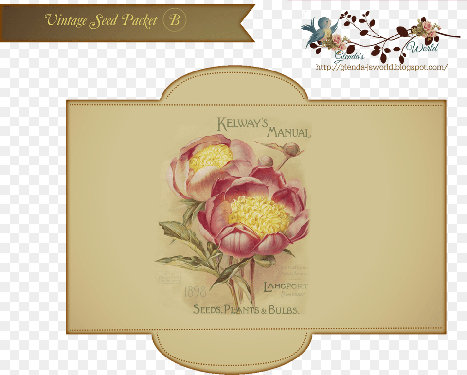 Protea, Greeting Card, Pattern, Mail, Graphics Free Png Download
