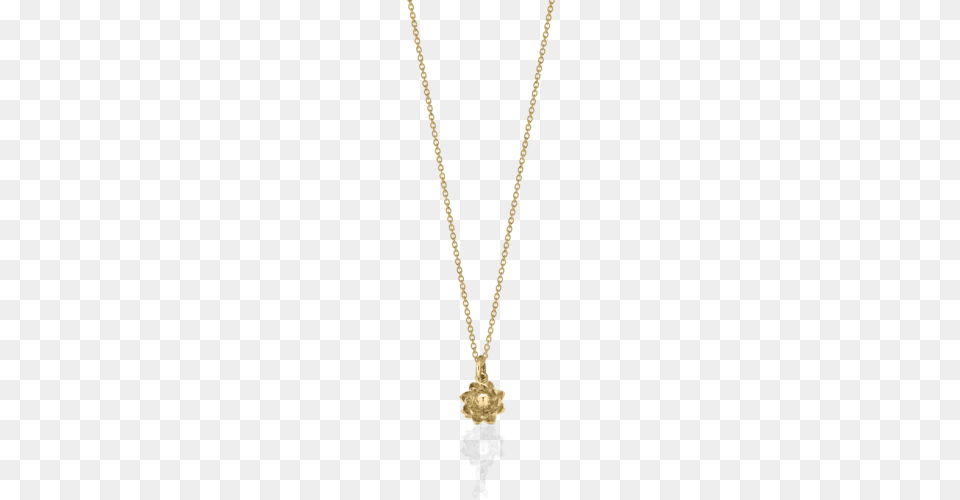 Protea Charm Necklace Meadowlark Jewellery, Accessories, Jewelry, Pendant, Diamond Png Image