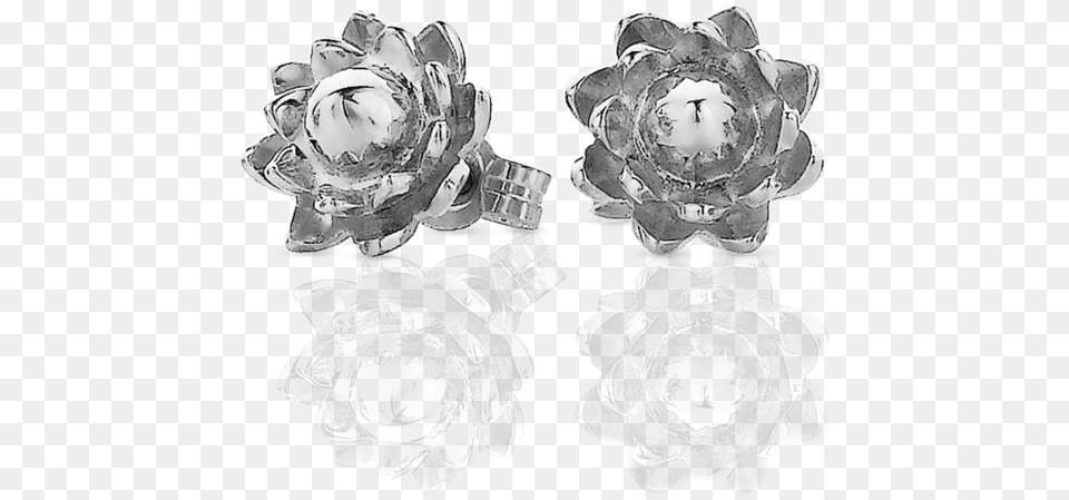 Protea Stud Earrings Garden Roses, Accessories, Jewelry, Adult, Bride Png Image