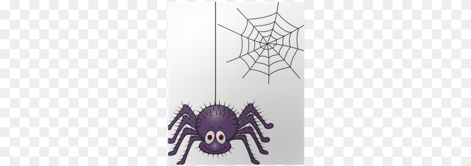 Protect Insects, Spider Web, Animal, Invertebrate, Spider Png