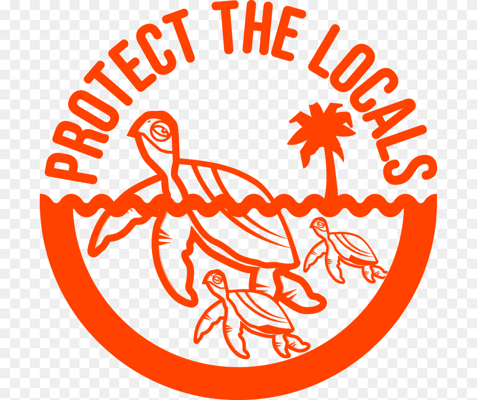 Protect The Locals Turtle, First Aid, Leaf, Plant Free Png Download