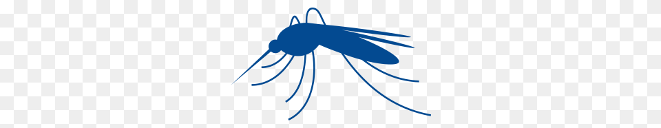 Protect Yourself Against Malaria, Animal, Insect, Invertebrate, Mosquito Free Transparent Png