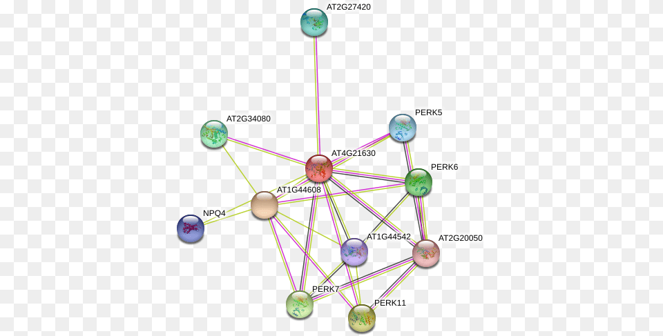 Protein, Chandelier, Lamp, Network, Sphere Png