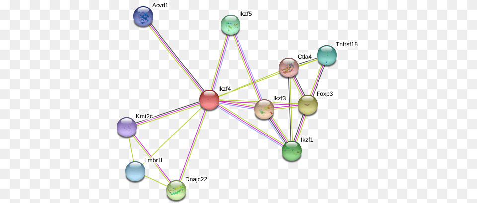 Protein, Chandelier, Lamp, Network, Diagram Png Image