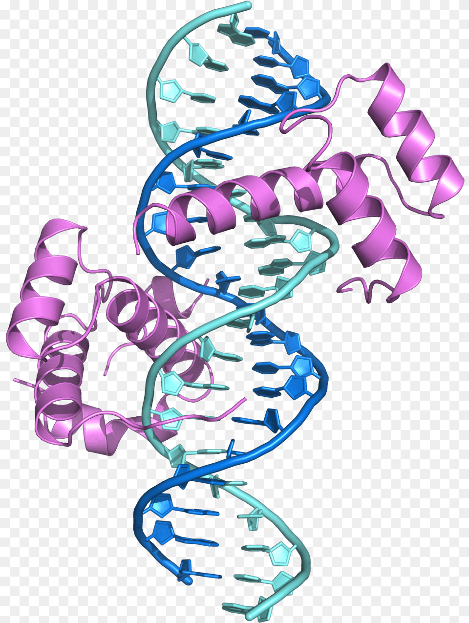 Protein Binding To Dna, Purple, Art, Graphics, Spiral Png Image