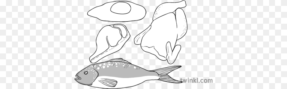 Protein Black And White 1 Illustration Twinkl Fish, Animal, Sea Life Png