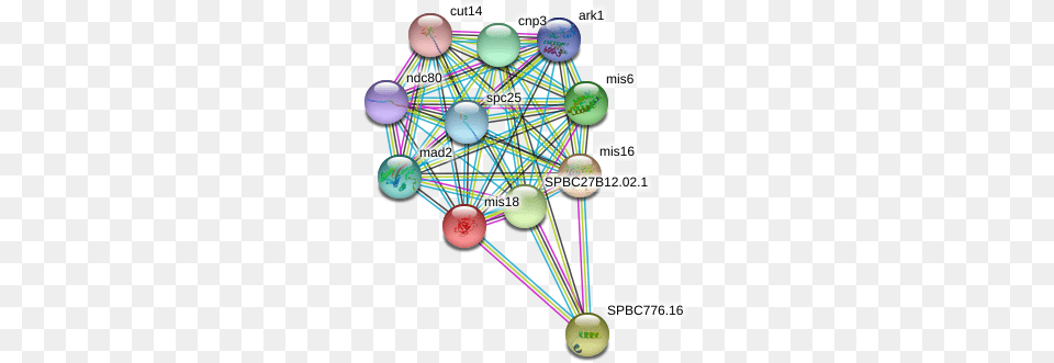 Protein Circle, Sphere, Network, Disk Free Transparent Png