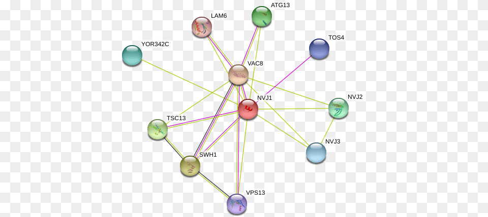 Protein Circle, Ball, Network, Sport, Baseball (ball) Free Transparent Png