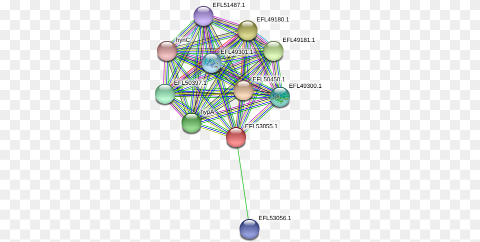 Protein Circle, Sphere, Network, Disk Free Png Download