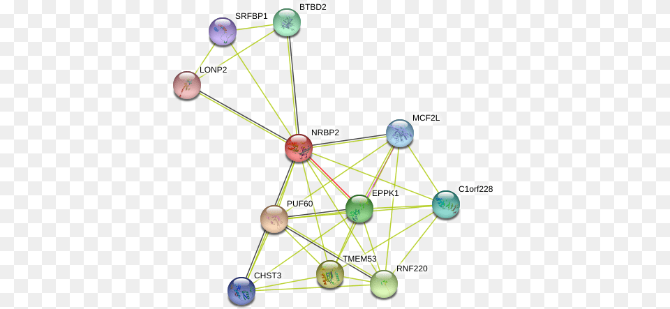 Protein Circle, Network, Nature, Night, Outdoors Png