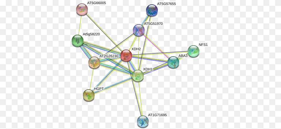 Protein Circle, Chandelier, Lamp, Network Free Transparent Png