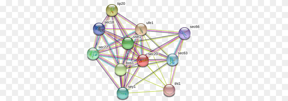 Protein Circle, Sphere, Network, Nature, Night Free Png