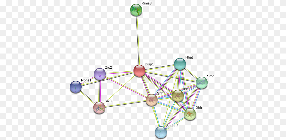 Protein Circle, Chandelier, Lamp, Network, Sphere Free Transparent Png