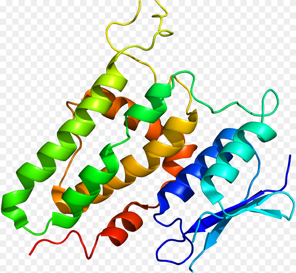 Protein Clic2 Pdb, Lighting, Person Png