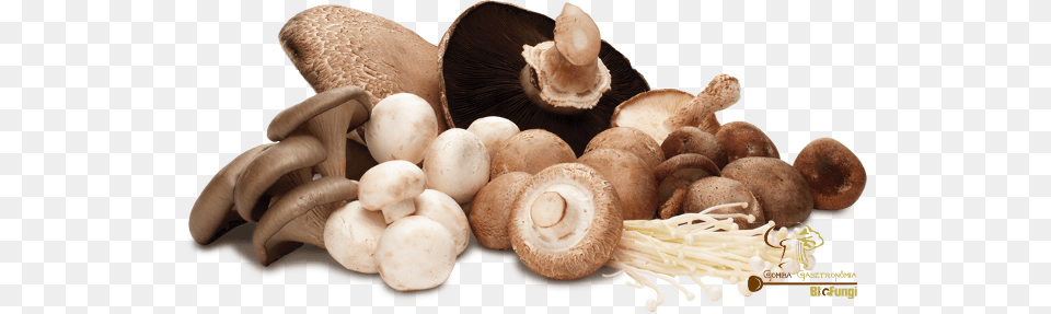 Protein Content Of Mushrooms Cogumelos, Fungus, Plant, Mushroom, Agaric Png Image
