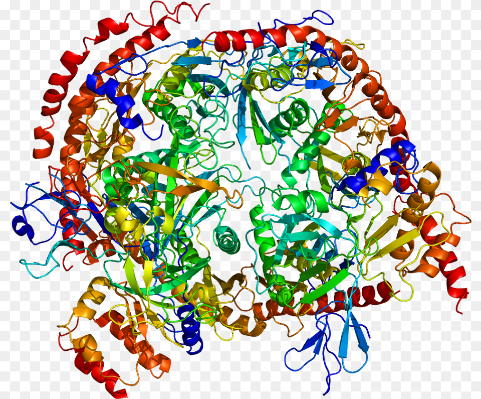 Protein Exosc3 Pdb 2nn6 Exosome Component, Art, Graphics, Pattern, Accessories Png Image