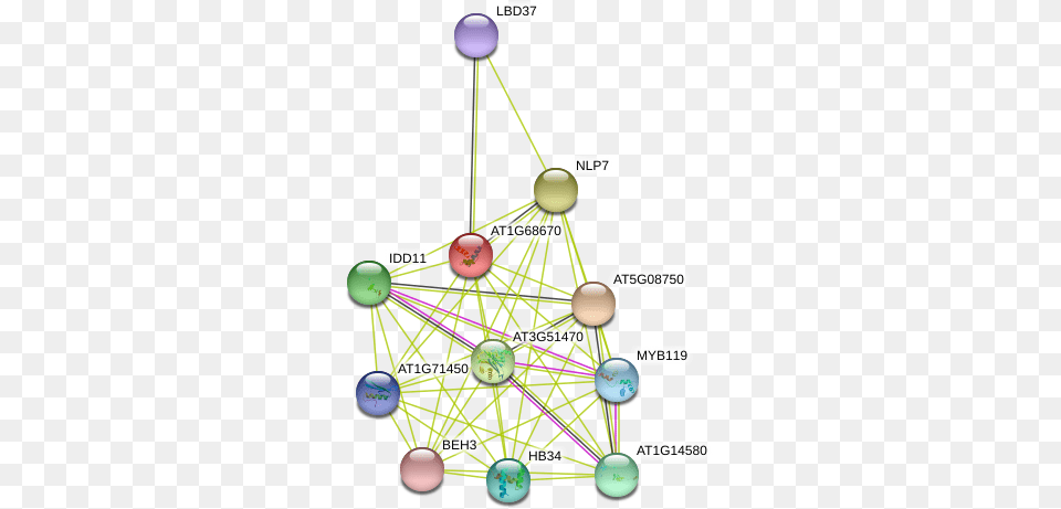 Protein Ferris Wheel, Sphere, Chandelier, Lamp, Network Png