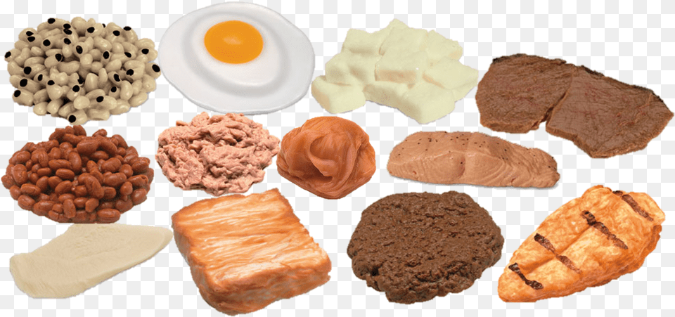 Protein Foods Model Kit Protein Food Models, Bread, Plate, Flower, Plant Free Png Download