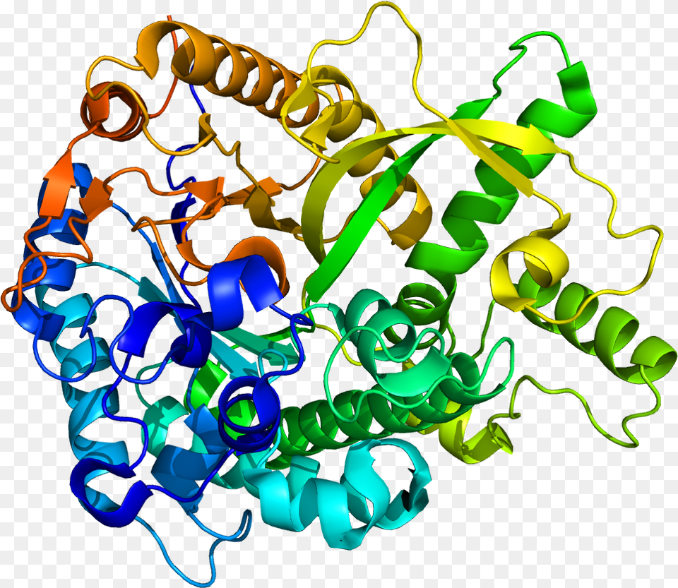 Protein Gba3 Pdb 2e9l Alpha L Iduronidase, Art, Graphics, Pattern Free Transparent Png