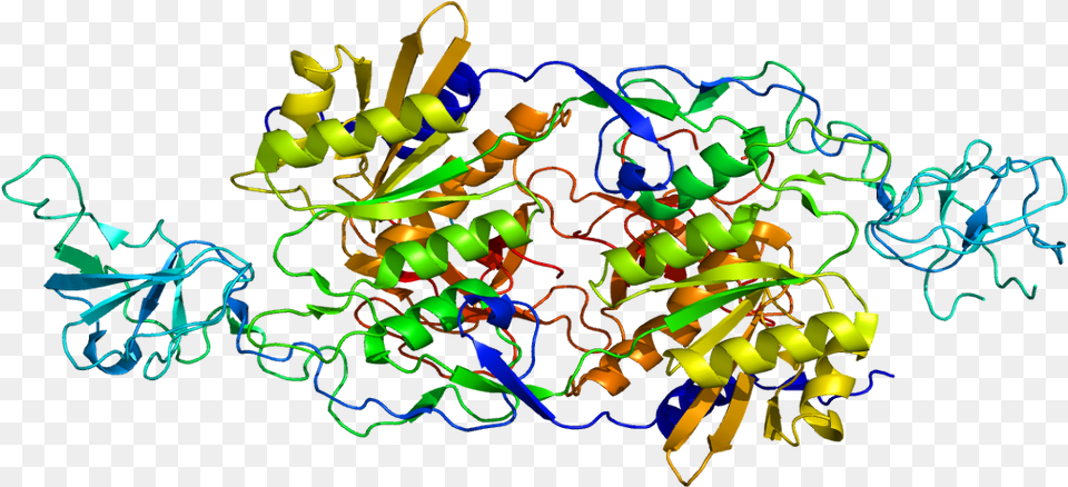 Protein Glrb Pdb 1t3e Bapu Bommalu Of Vamana, Art, Graphics, Light Free Transparent Png