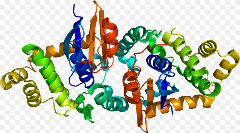 Protein Gstk1 Pdb, Art, Graphics Png