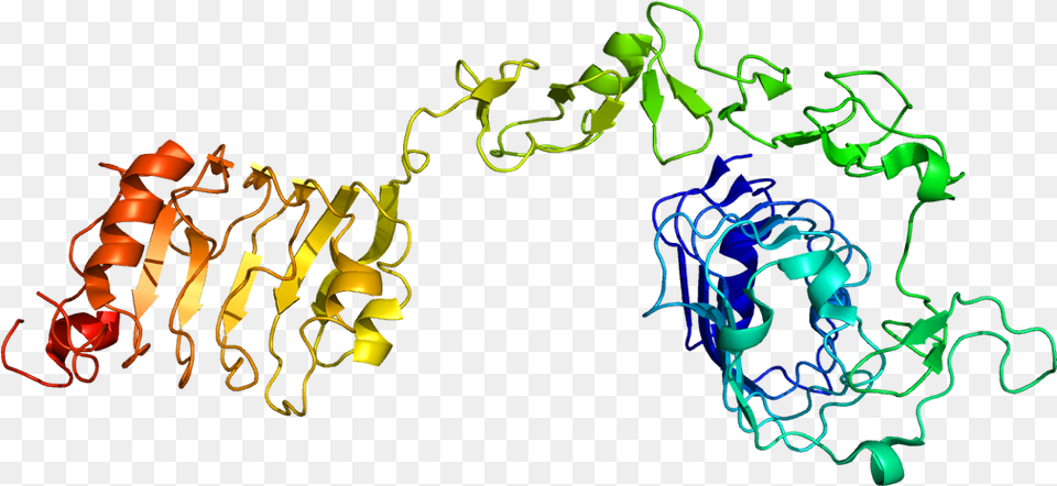 Protein Igf1r Pdb 1igr Insulin Like Growth Factor 1 Receptor, Art, Graphics, Light, Neon Png Image