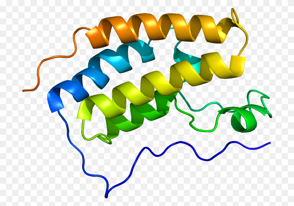Protein Interactions, Art, Graphics Png