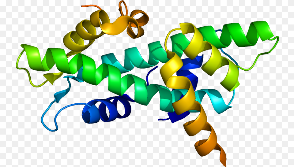 Protein Nfyb Pdb 1n1j Ascl1 Protein 3d Structure, Art, Graphics, Tape Free Png Download