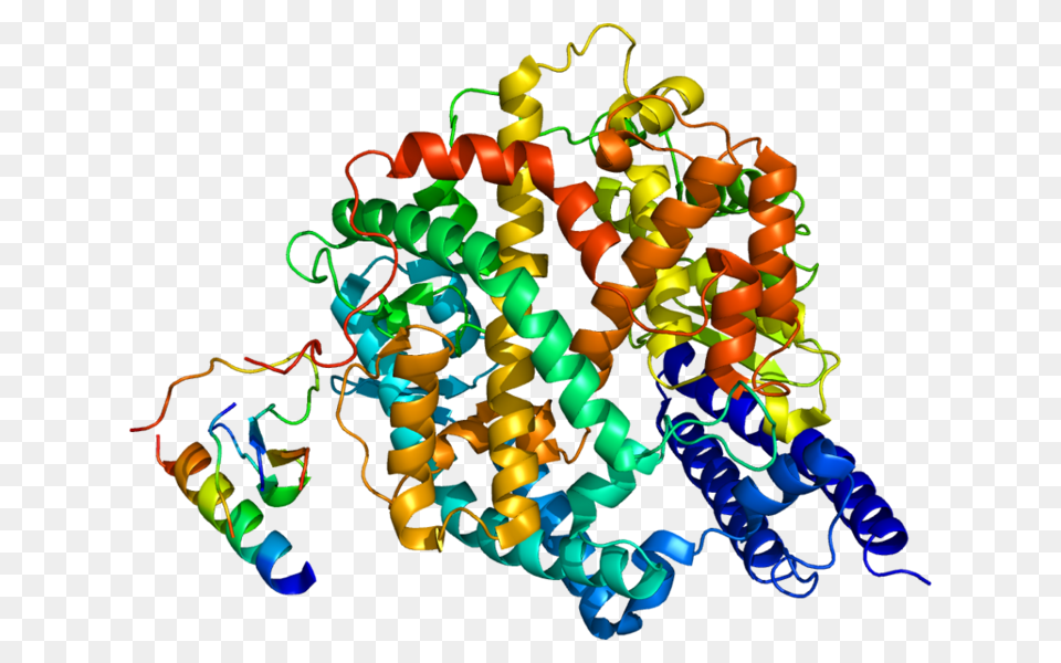 Protein Pdb, Accessories Free Transparent Png