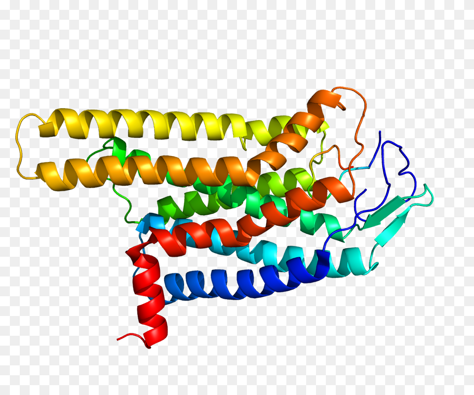 Protein Pdb, Chandelier, Lamp Free Png