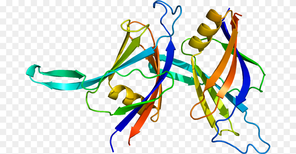 Protein Prkcd Pdb 1bdy Protein Kinase C Delta Structure, Art Png Image