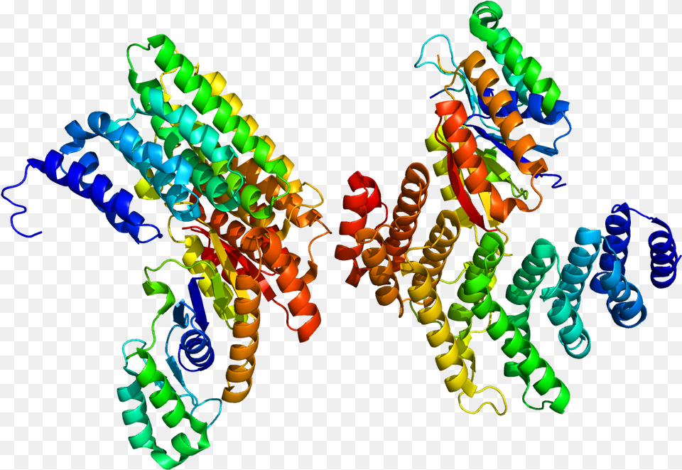 Protein Sympk Pdb 3o2q Proteins, Spiral, Accessories, Pattern, Jewelry Free Png Download