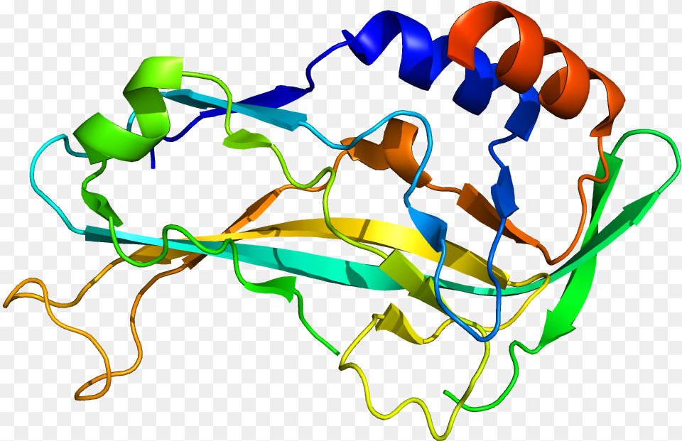 Protein Tbx5 Pdb 2x6u T Box 2 Gene, Art, Graphics, Lighting Png