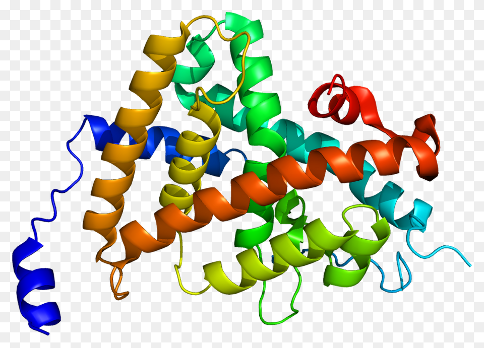 Protein Thra Pdb, Art, Graphics Free Png Download