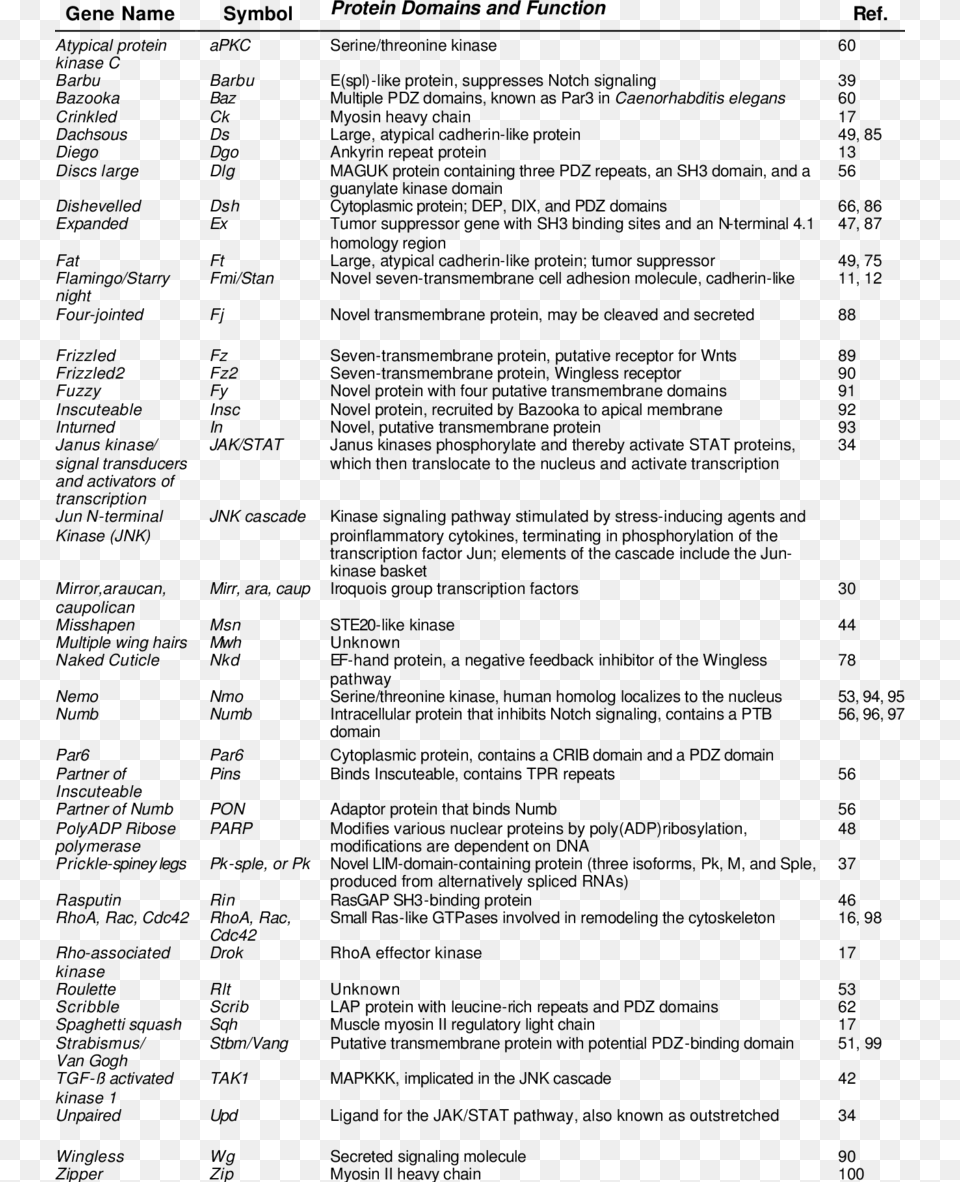 Proteins Known To Participate In Pcp Signaling Or Execution Document, Menu, Text Png