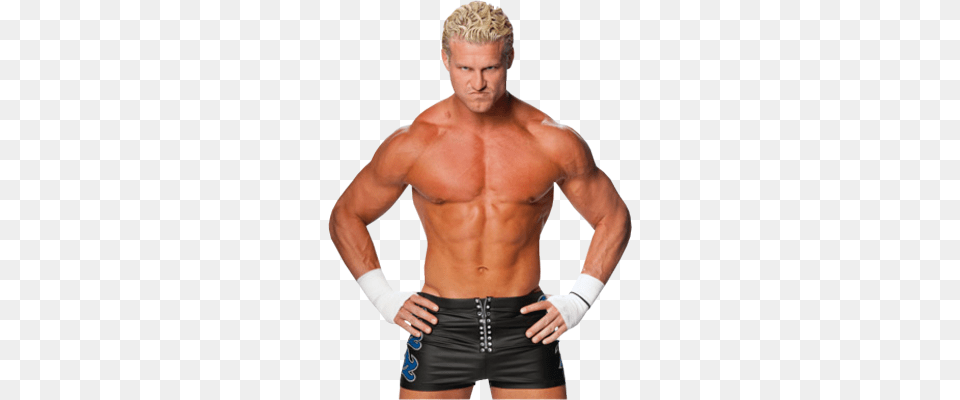Protest The Chris Hero Avatar Dolph Ziggler 2010, Adult, Male, Man, Person Png