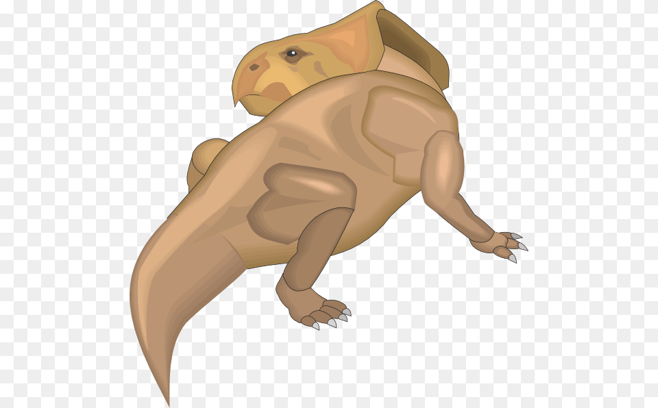 Protoceratops Looking Behind Clip Art, Animal, Reptile Png