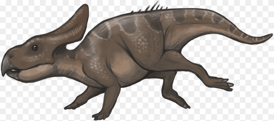 Protoceratops Reconstruction Protoceratops Facts For Kids, Animal, Dinosaur, Reptile, T-rex Png Image
