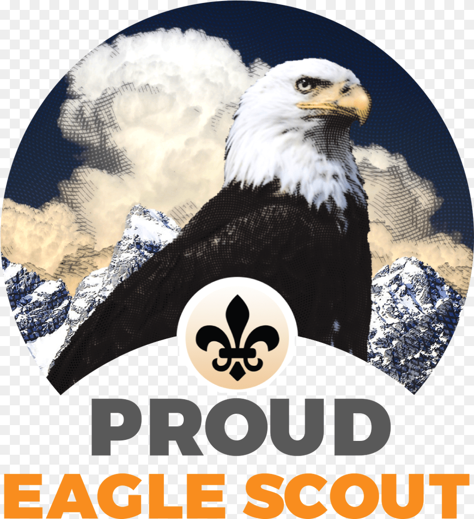 Proud Eagle Scout Short Sleeve T Shirtclass Safety Signage At Store, Animal, Bird, Bald Eagle Free Png Download