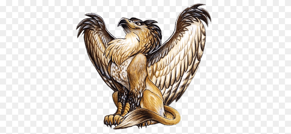 Proud Griffin, Animal, Bird, Eagle Png Image