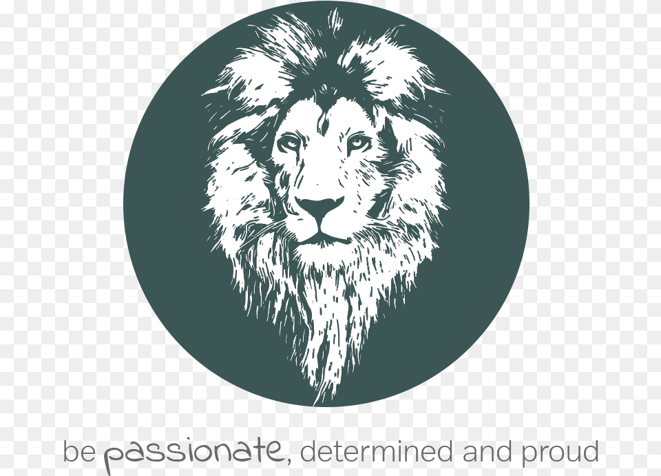 Proud Jiu Jitsu Lion, Animal, Mammal, Wildlife Free Png Download